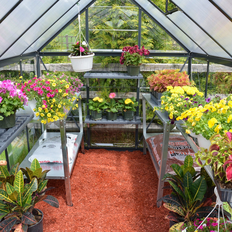 Hybrid Greenhouse - Charcoal Gray