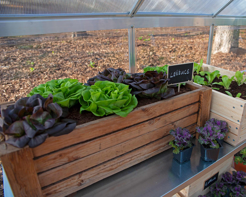 Balance Greenhouse - Silver