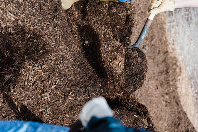 Composting Made Simple: How to Boost Your Garden’s Health