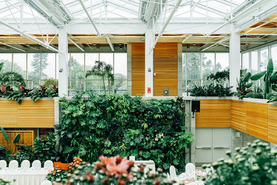 DIY Greenhouse Hacks: Affordable Ways to Enhance Your Growing Space