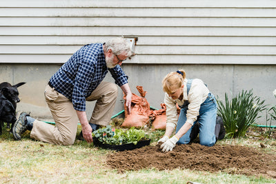 Composting for Every Season: How to Maintain Your Compost Bin Year-Round in New Zealand