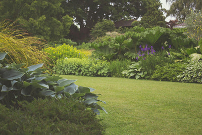 How to Use Compost in Your Garden: Tips for Maximum Benefit