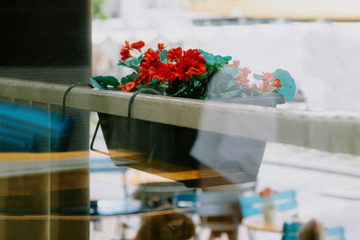 Urban Gardening Made Easy: The Benefits of Using VegTrugs in Small Spaces