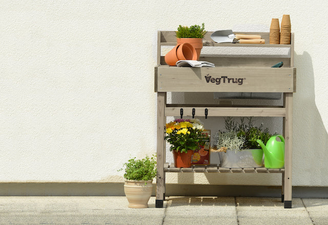 VegTrug Deluxe Potting Bench - Natural