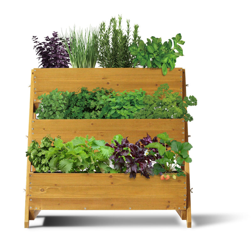 VegTrug Terrace Planter - Three Tier