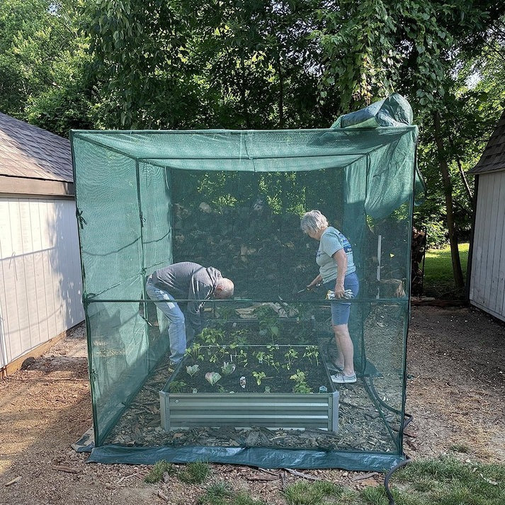 Crop Protection Cage - Medium & Large