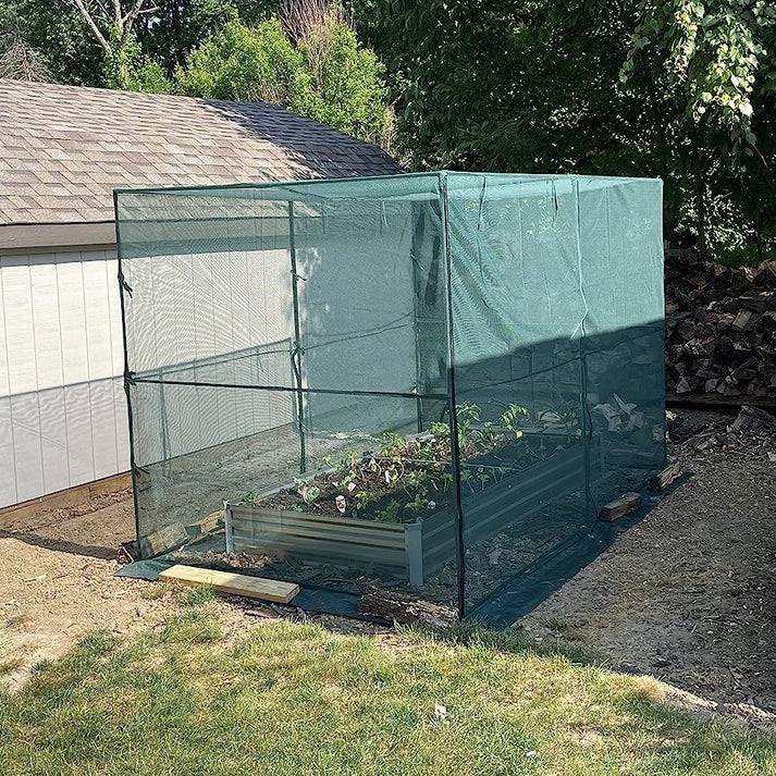 Crop Protection Cage - Medium & Large