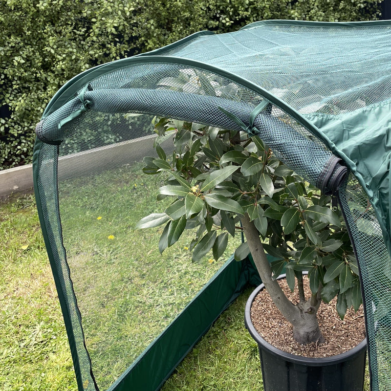 Net Garden Cover  - 1 x 1 x 1.25m