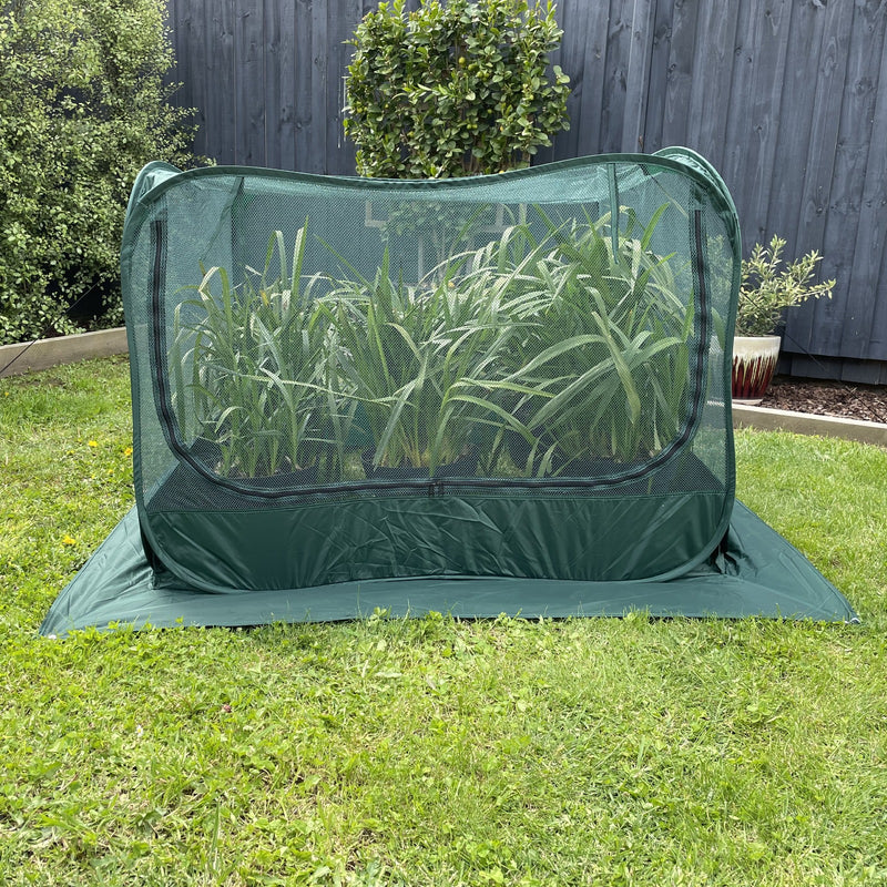 Net Garden Cover - 1.25 x 1.25 x 0.92m