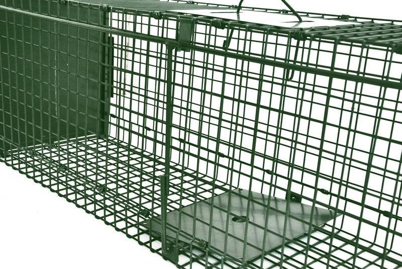 Cage Trap - feral cats, small dogs, rabbits and possums