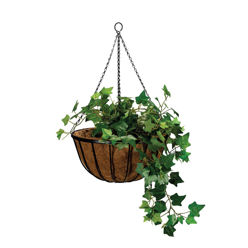 Hanging Basket Cathedral with Liner & Chain