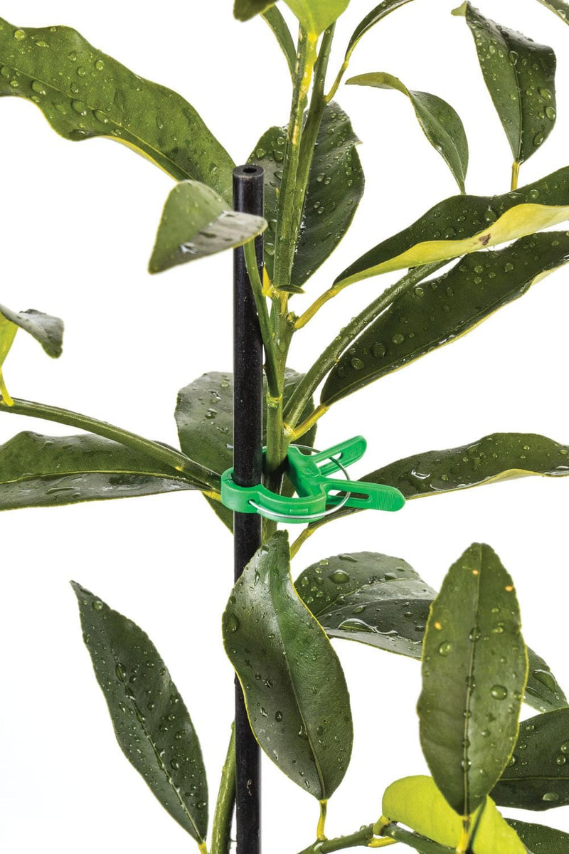 Plant Clips - Assorted x 20