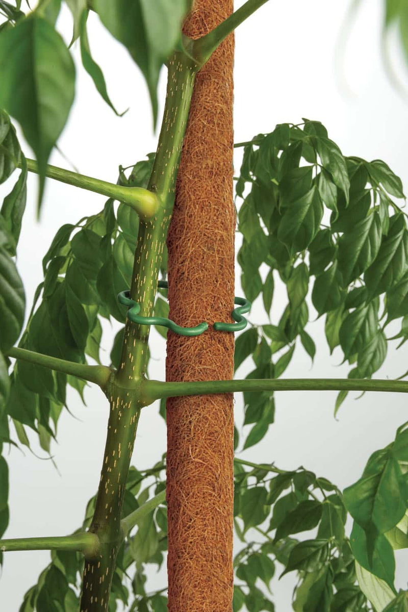 Coco Fibre Poles