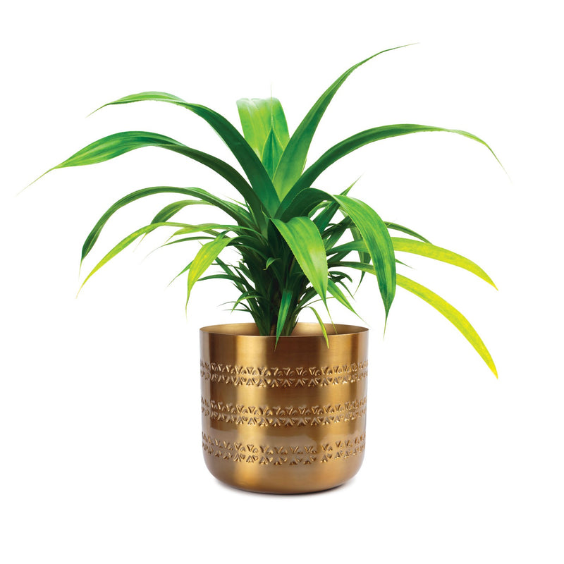 Daru Indoor Metal Planter - Brass Finish