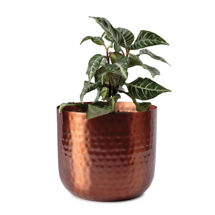 gold plant pot nz Uttar Indoor Metal Planter