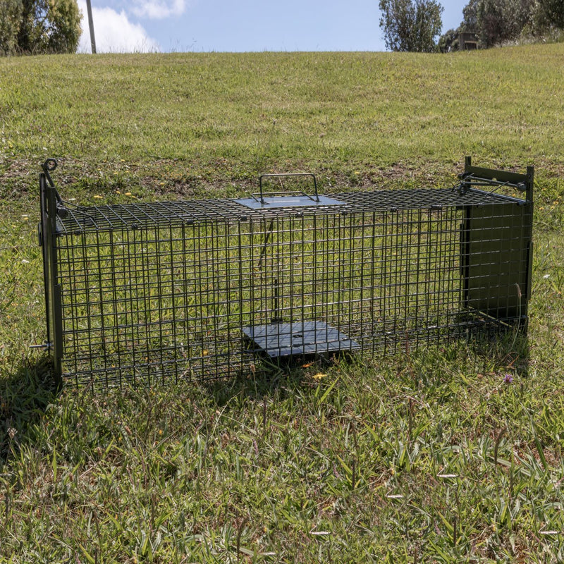 Medium Cage Trap - rats, ferrets, stoats and possums