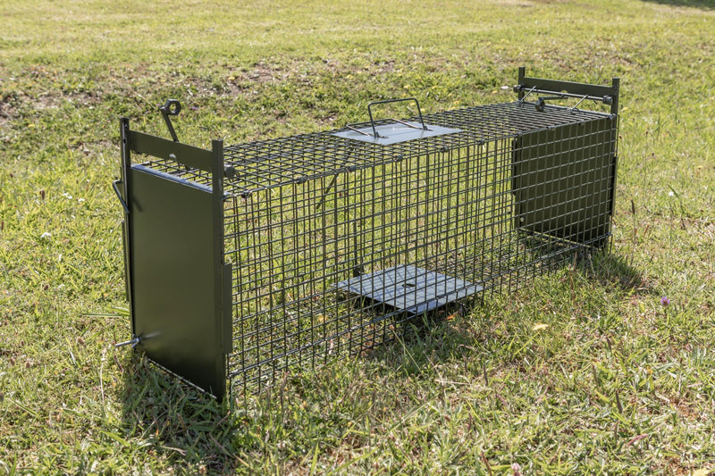 Medium Cage Trap - rats, ferrets, stoats and possums