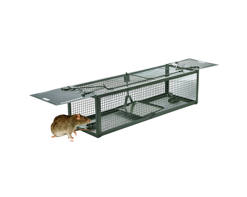 Rat and Mice Cage Trap - small