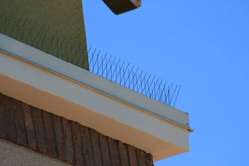 Premium Stainless Steel Bird Repelling Spikes - 1.6 lineal metres 140mm wide