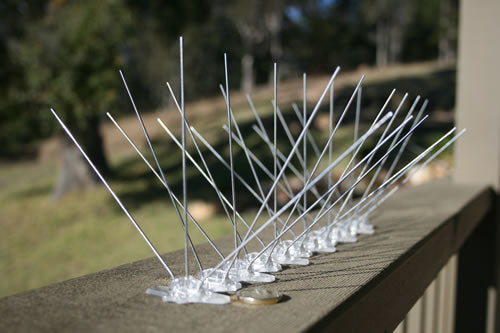 Premium Stainless Steel Bird Repelling Spikes - 1.6 lineal metres 140mm wide