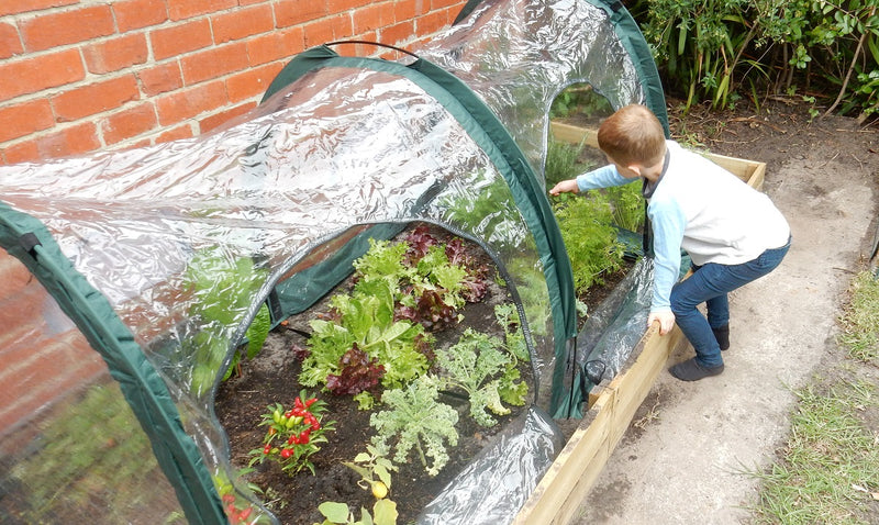 garden poly growing tunnel