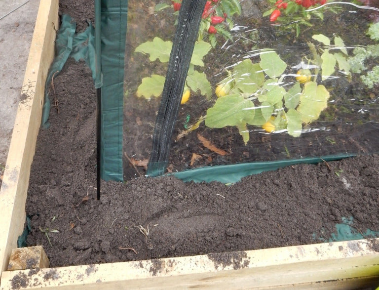garden poly growing tunnel